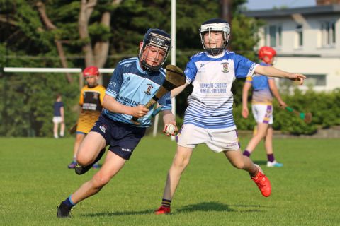 Photographs of Week 3 of the Mini All Irelands - Hurling