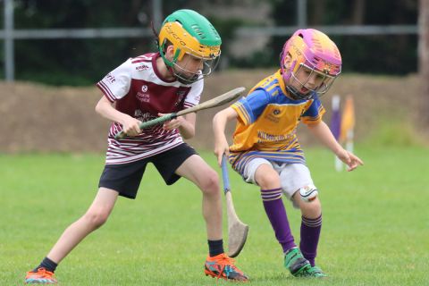 Photographs of Week 3 of the Mini All Irelands - Hurling