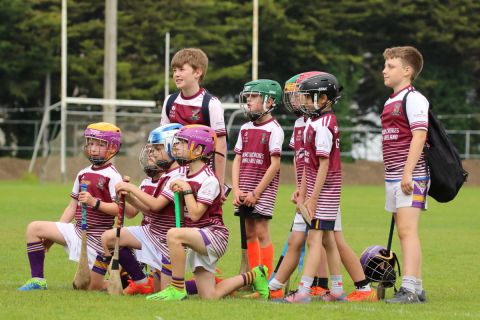 Photographs of Week 3 of the Mini All Irelands - Hurling