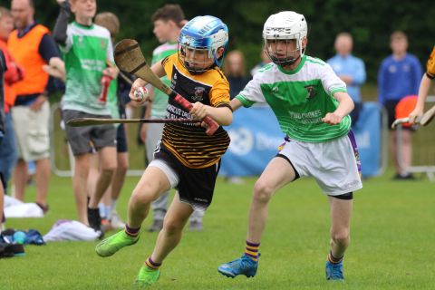 Photographs of Week 3 of the Mini All Irelands - Hurling