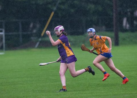 Dublin Minor Camogie Division 1 Kilmacud Crokes Versus Na Fianna 