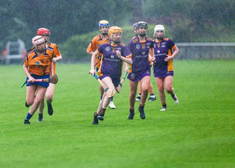 Dublin Minor Camogie Division 1 Kilmacud Crokes Versus Na Fianna 