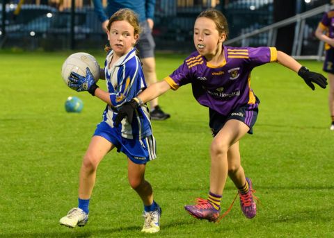 Half Time Under 9 game during Snr Ladies Championship Game - Kilmacud Crokes V Ballyboden