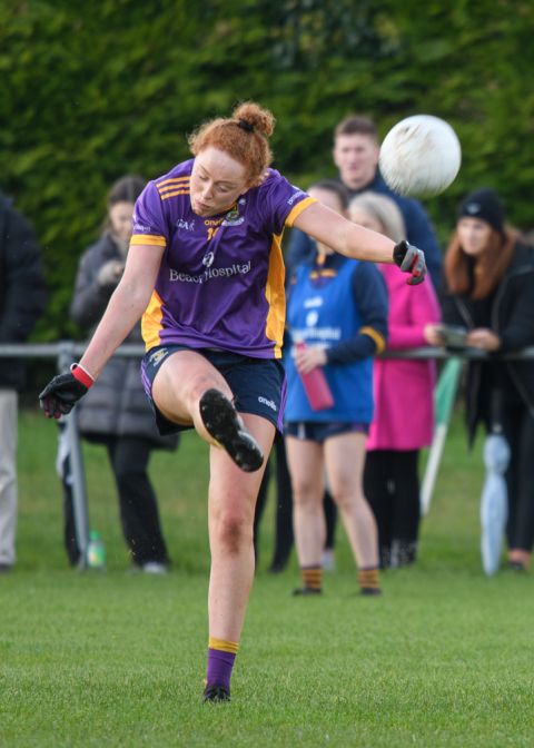 Leinster Semi Final Action Shot