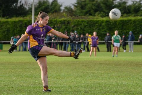 Leinster Semi Final Action Shot