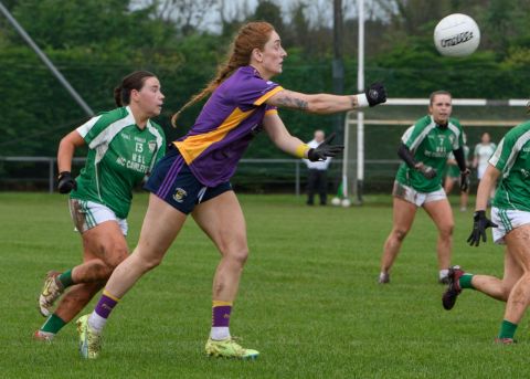 Leinster Semi Final Action Shot