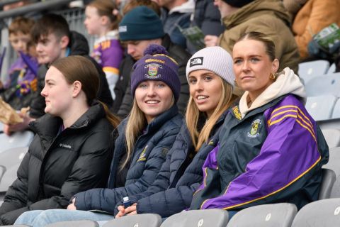 fans