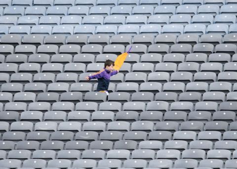 Lone Fan