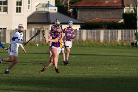 Kilmacud Crokes U16 B Hurlers Win The Championship