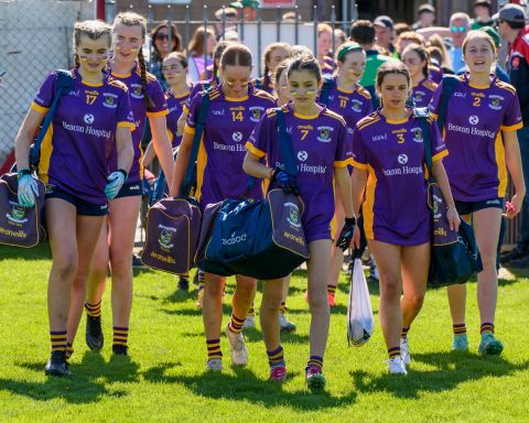 Feile