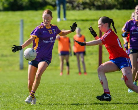 Feile