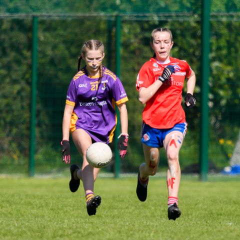 Feile