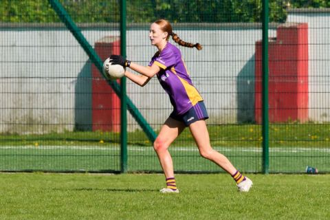 Feile