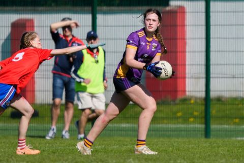 Feile
