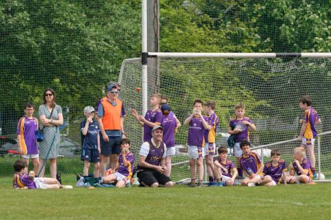 supporters