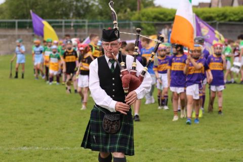 Piper