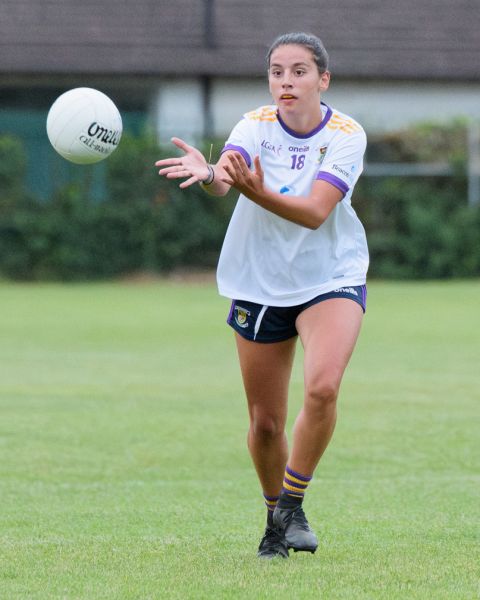 Crokes Senior Ladies 