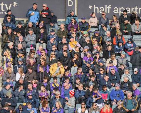 crowd