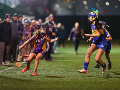 Camogie