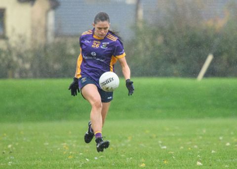 Ladies Leinster Semi Final 2024 