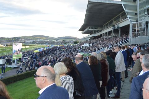 Kilmacud Crokes Football Race Day Fundraiser on December 28th