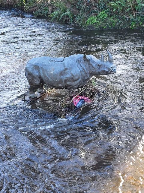 hippo
