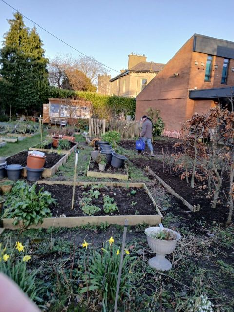 garden