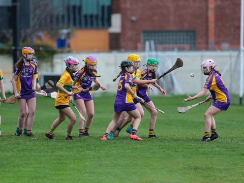 Camogie