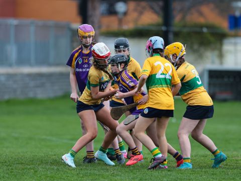 Camogie