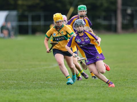 Camogie