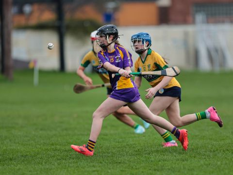 Camogie
