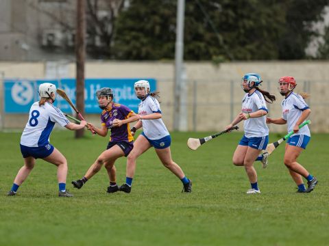 Camogie