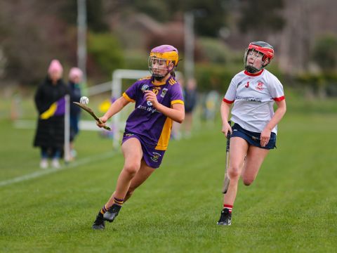 Camogie