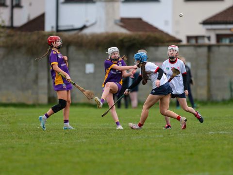 Camogie