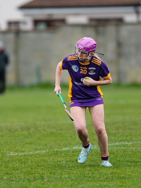 Camogie