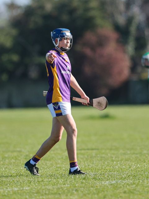 hurler