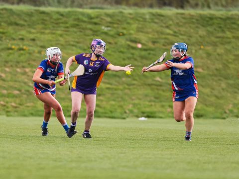 Camogie