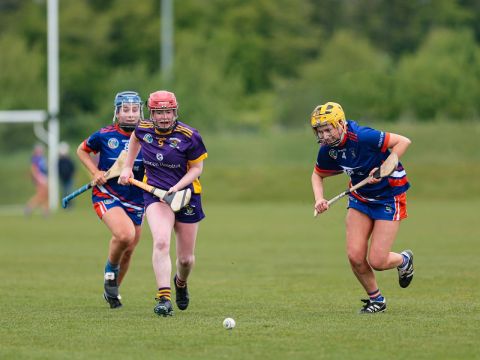 Camogie