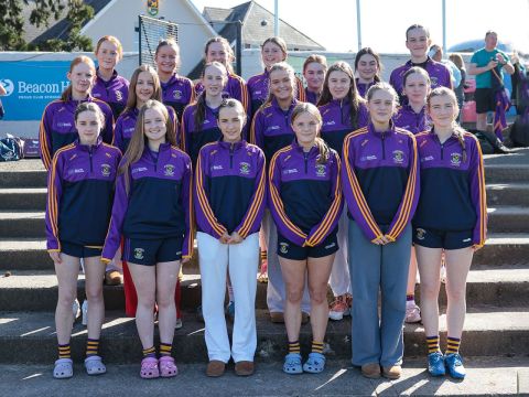 Feile