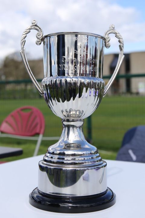 Cup