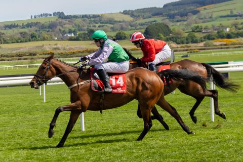 Punchestown 2025