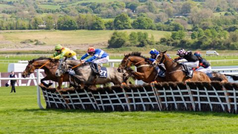 Punchestown 2025