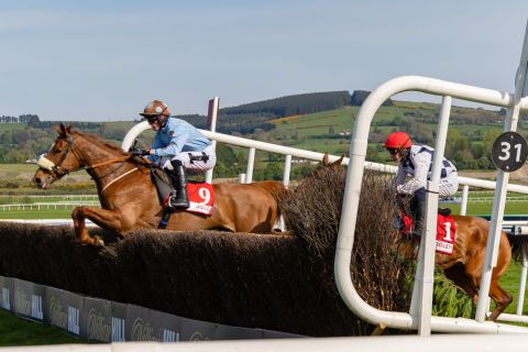 Punchestown 2025