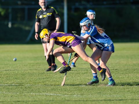 Camogie