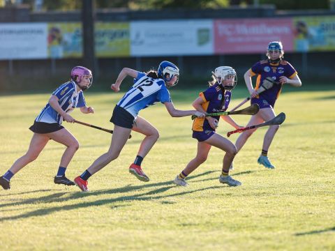 Camogie