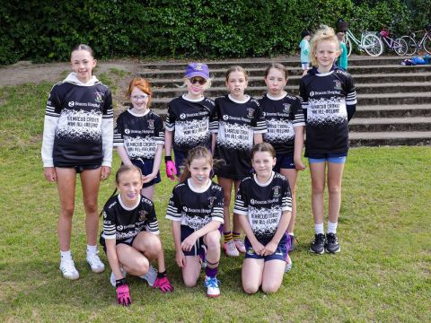Mini All Ireland Ladies football