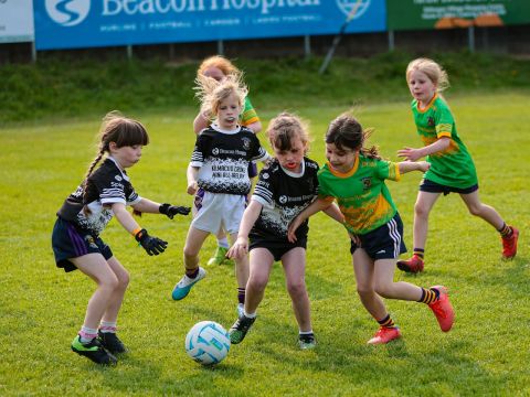 Mini All Ireland Ladies football