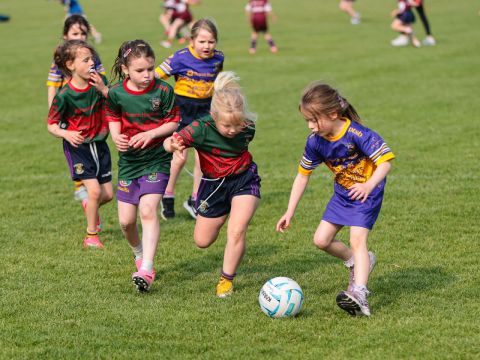 Mini All Ireland Ladies football