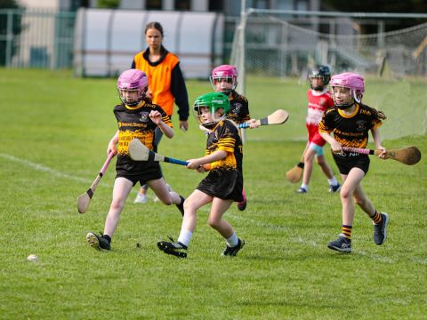 Camogie