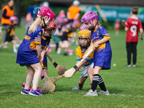 Camogie